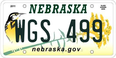 NE license plate WGS499
