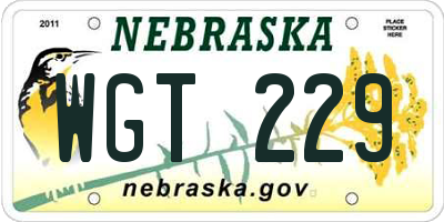 NE license plate WGT229