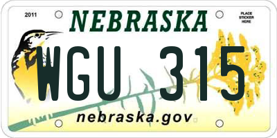 NE license plate WGU315