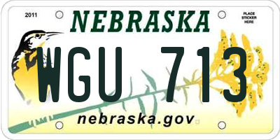 NE license plate WGU713