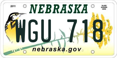 NE license plate WGU718