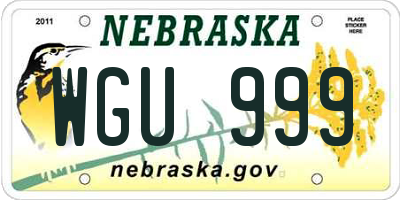 NE license plate WGU999