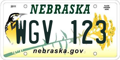 NE license plate WGV123