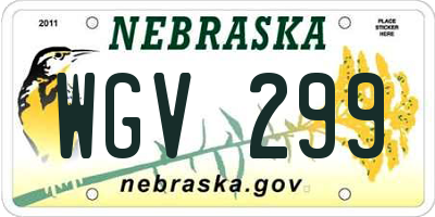 NE license plate WGV299