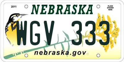 NE license plate WGV333