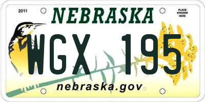 NE license plate WGX195