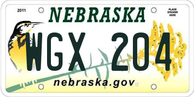 NE license plate WGX204