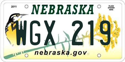 NE license plate WGX219
