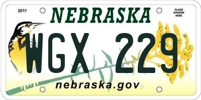 NE license plate WGX229