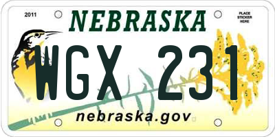 NE license plate WGX231