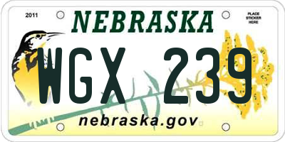 NE license plate WGX239