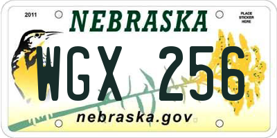 NE license plate WGX256