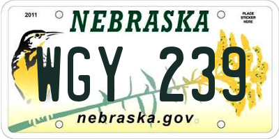 NE license plate WGY239