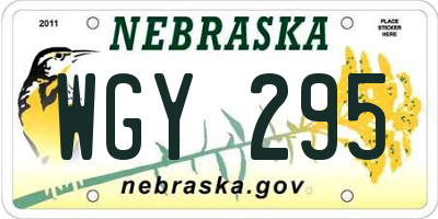 NE license plate WGY295