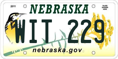 NE license plate WIT229