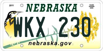 NE license plate WKX230