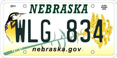 NE license plate WLG834