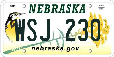 NE license plate WSJ230