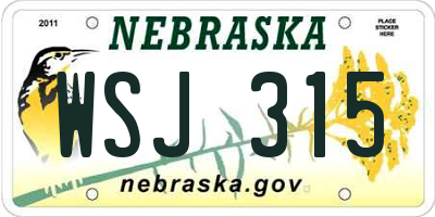 NE license plate WSJ315