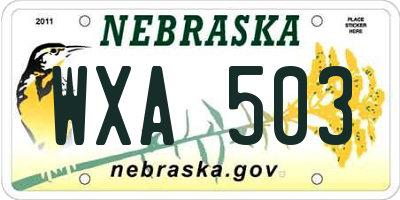 NE license plate WXA503