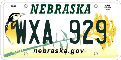 NE license plate WXA929