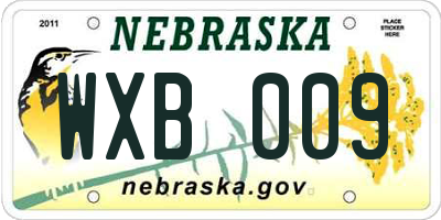NE license plate WXB009