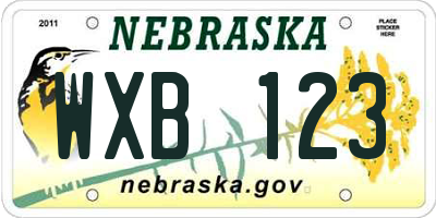 NE license plate WXB123