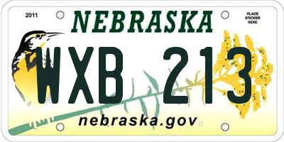 NE license plate WXB213