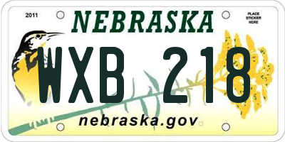 NE license plate WXB218