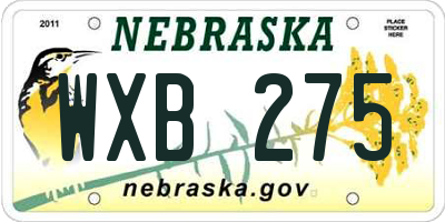 NE license plate WXB275