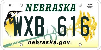 NE license plate WXB616