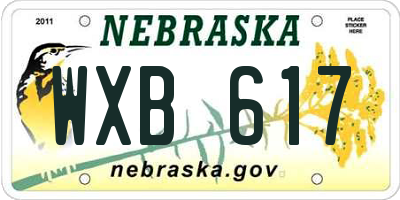 NE license plate WXB617