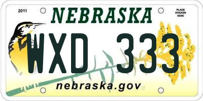 NE license plate WXD333
