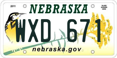 NE license plate WXD671