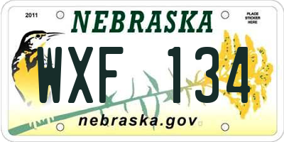 NE license plate WXF134