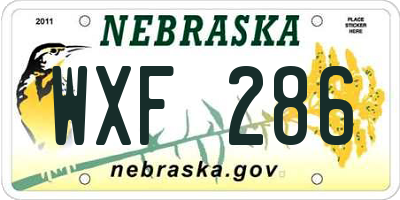 NE license plate WXF286