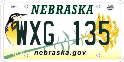 NE license plate WXG135