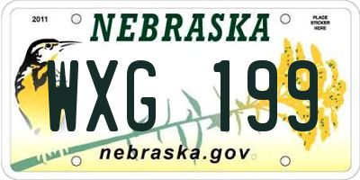 NE license plate WXG199