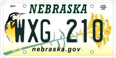 NE license plate WXG210