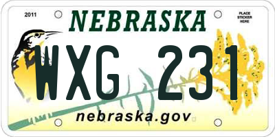 NE license plate WXG231