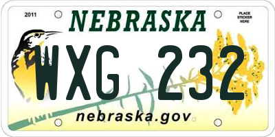 NE license plate WXG232