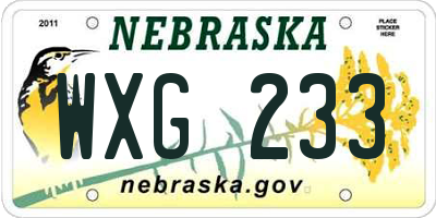 NE license plate WXG233