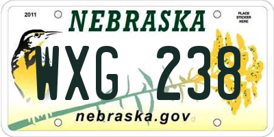 NE license plate WXG238