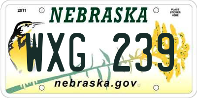 NE license plate WXG239