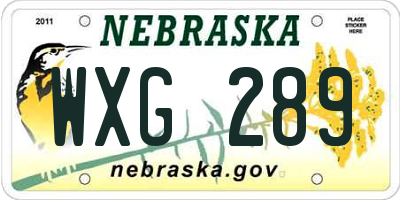 NE license plate WXG289