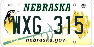 NE license plate WXG315