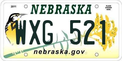 NE license plate WXG521