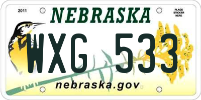 NE license plate WXG533
