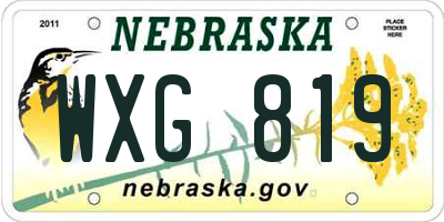 NE license plate WXG819