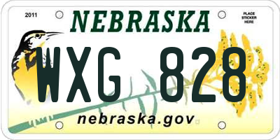 NE license plate WXG828